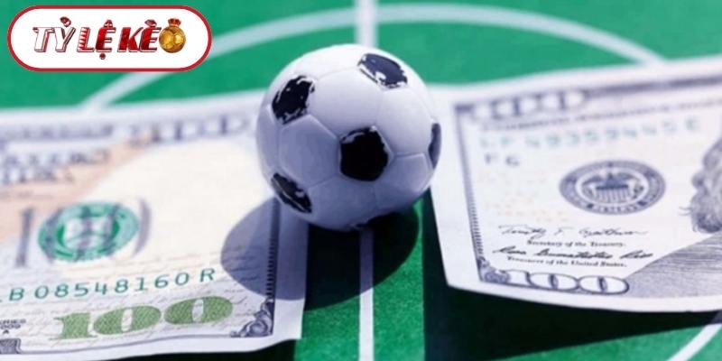 Nhiều câu hỏi người chơi đặt ra