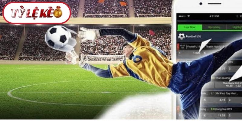 Phân tích chi tiết biến động tỷ lệ kèo nhà cái