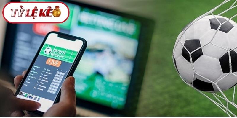 Quy trình thiết lập các thông số cược bóng đá